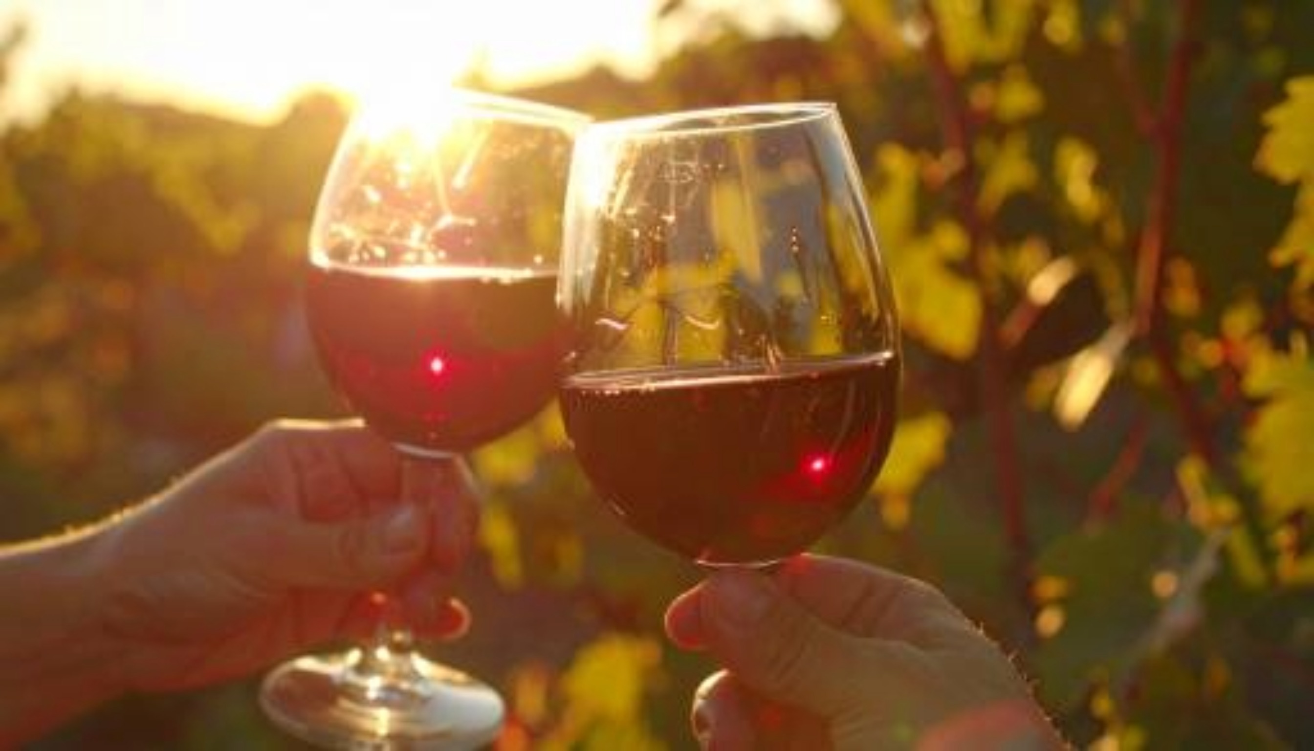 Wine Tasting Society