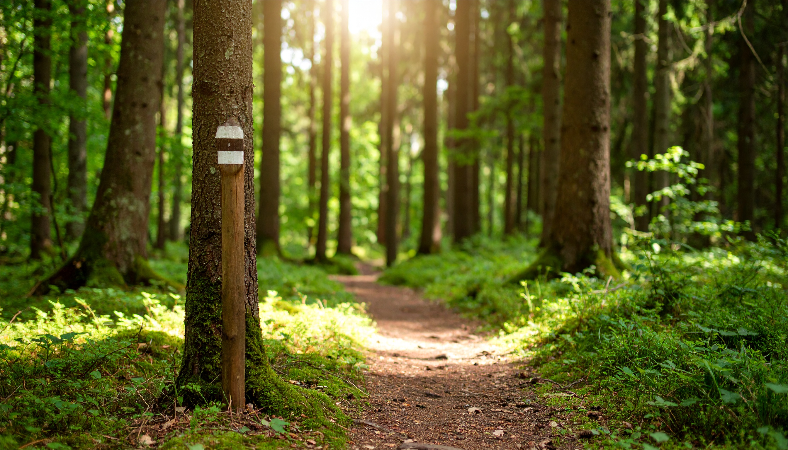 Hiking Trails Community