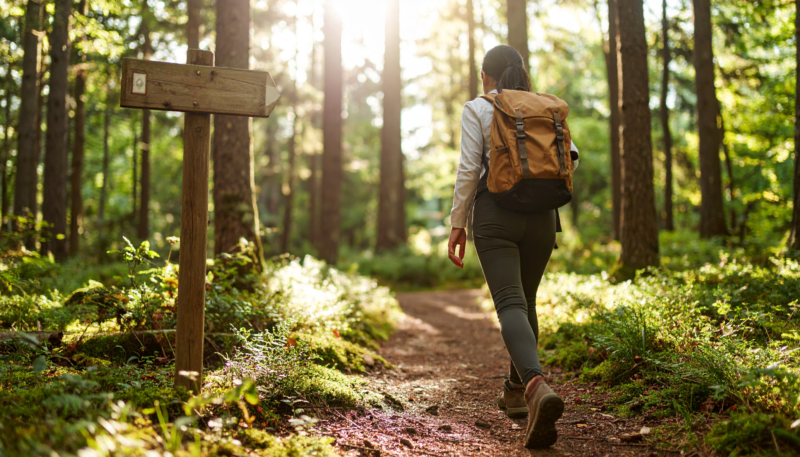 Hiking Fitness Trails