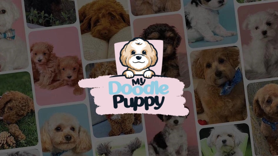 My Doodle Puppy